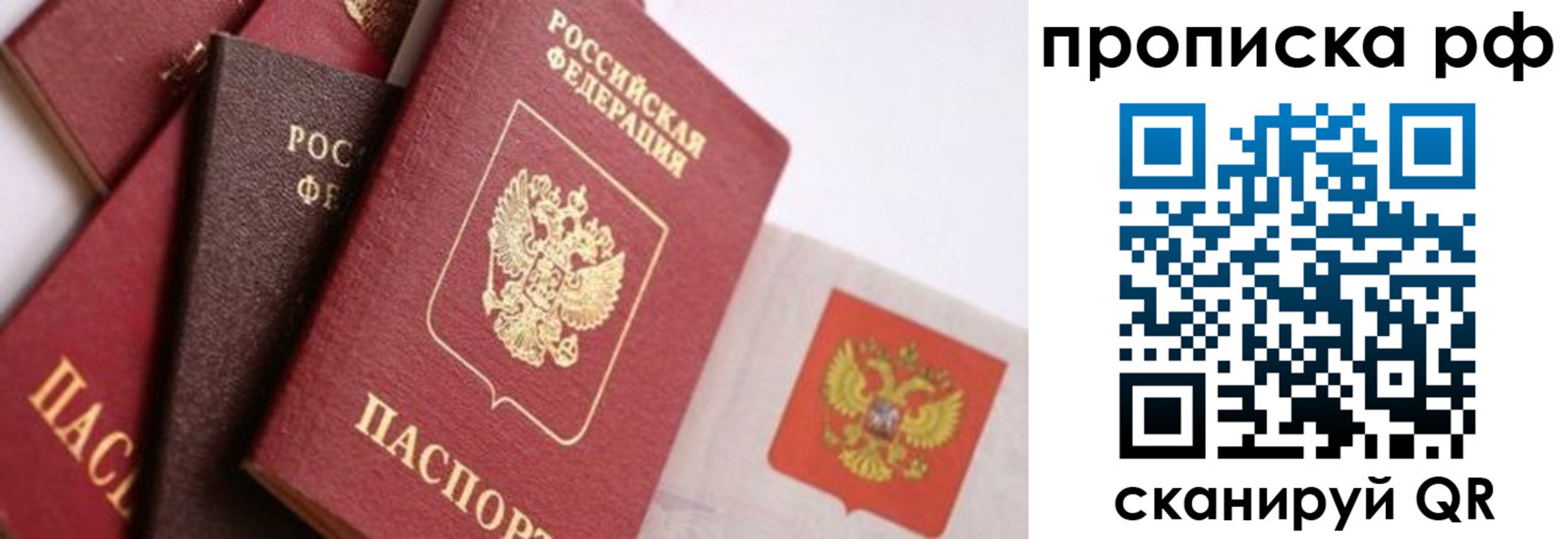 найти адрес прописки в Пугачёве